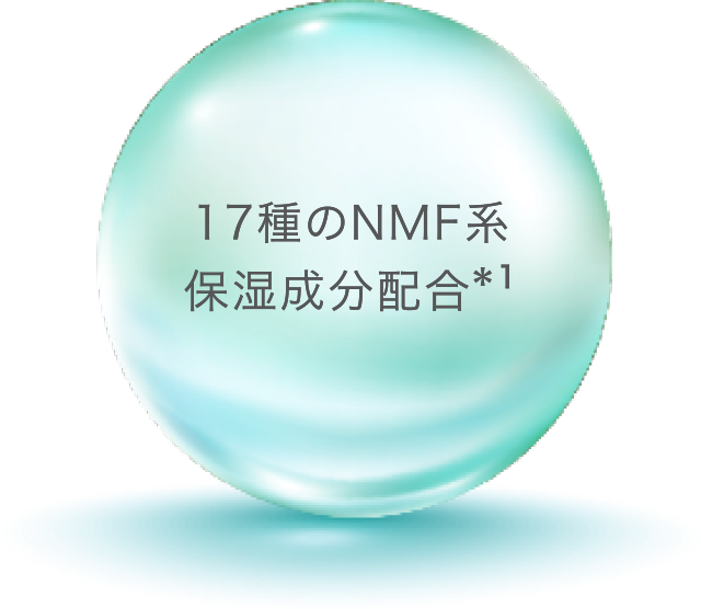 17種のNMF系保湿成分配合